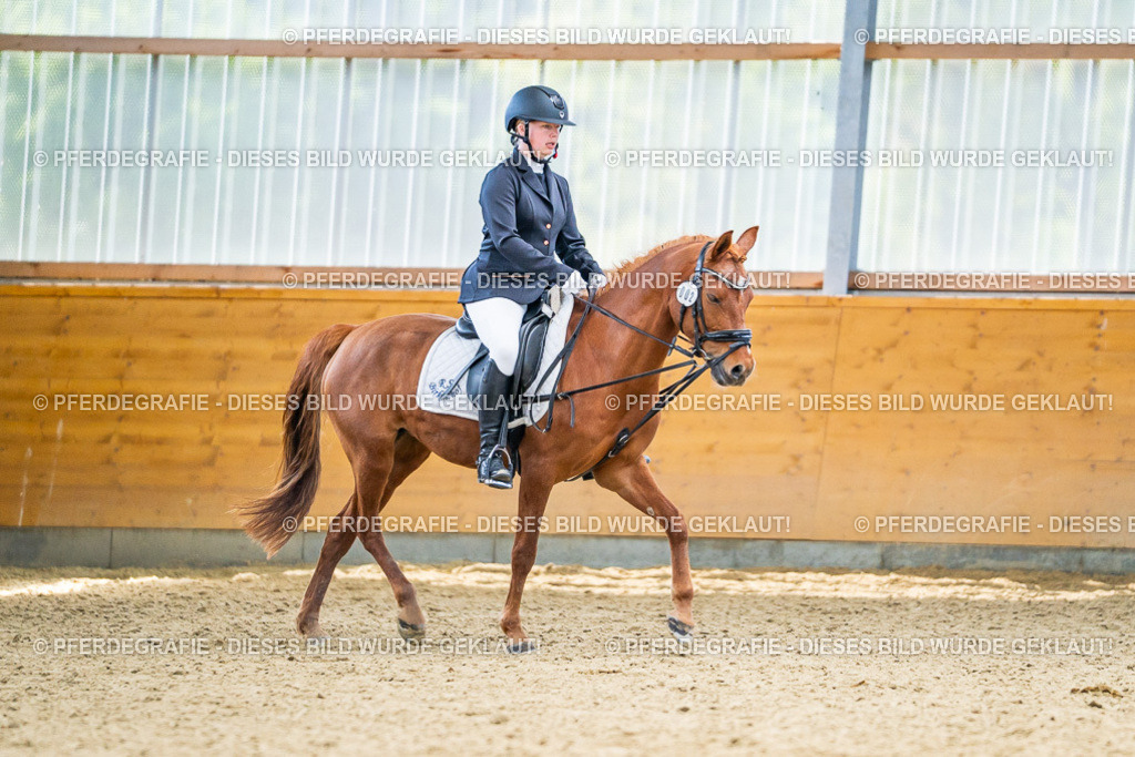 DSC04949 | Pferdegrafie