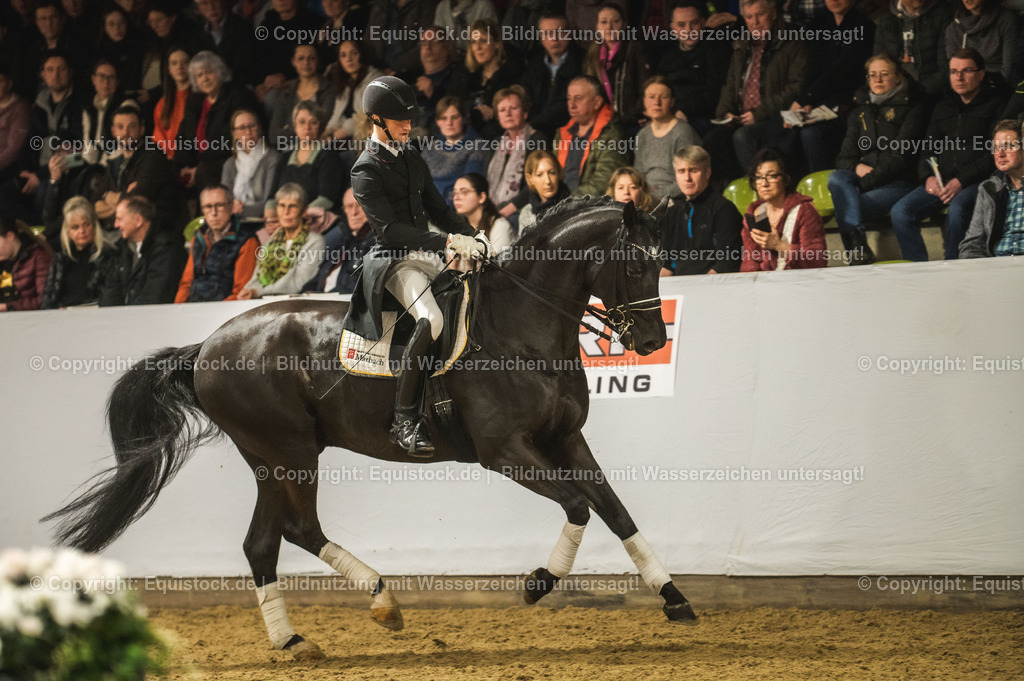 20240302_Hengstvorstellung_Marbach_TOMsPiC_1537 | equistock