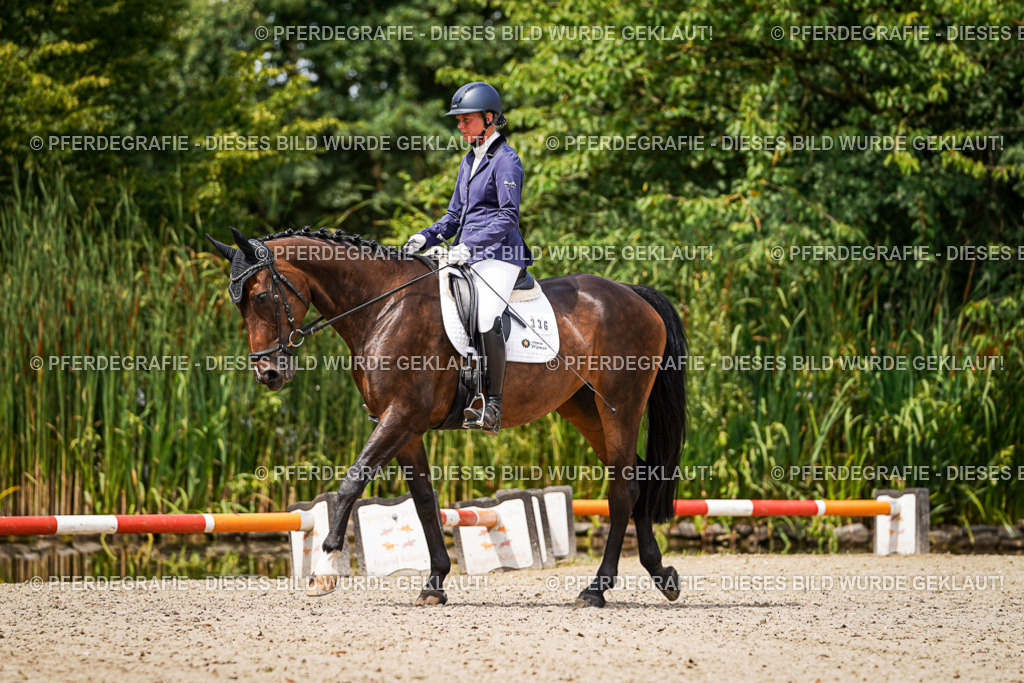 DSC04061 | Pferdegrafie