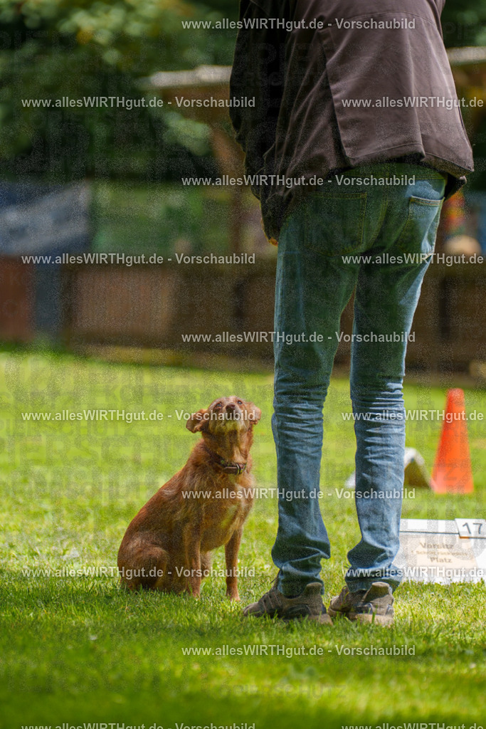 @allesWIRTHgut_Tierfotografie - www.allesWIRTHgut.de - 121757-7R508823 | Professionelle Tierfotografie in Mönchengladbach von Daniel Wirth (allesWIRTHgut). Liebevolle & natürliche Bilder von Hunden & Katzen für unvergessliche Erinnerungen.