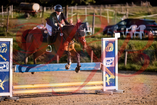 2026_10_03_Siefer-Hof_170922_Z81_06317770 | Professionelle Reitsport-, Turnier- und Eventfotografie von Robert Broda. Galerien mit ausgewählten und bearbeiteten Bildern direkt online ansehen und bestellen.