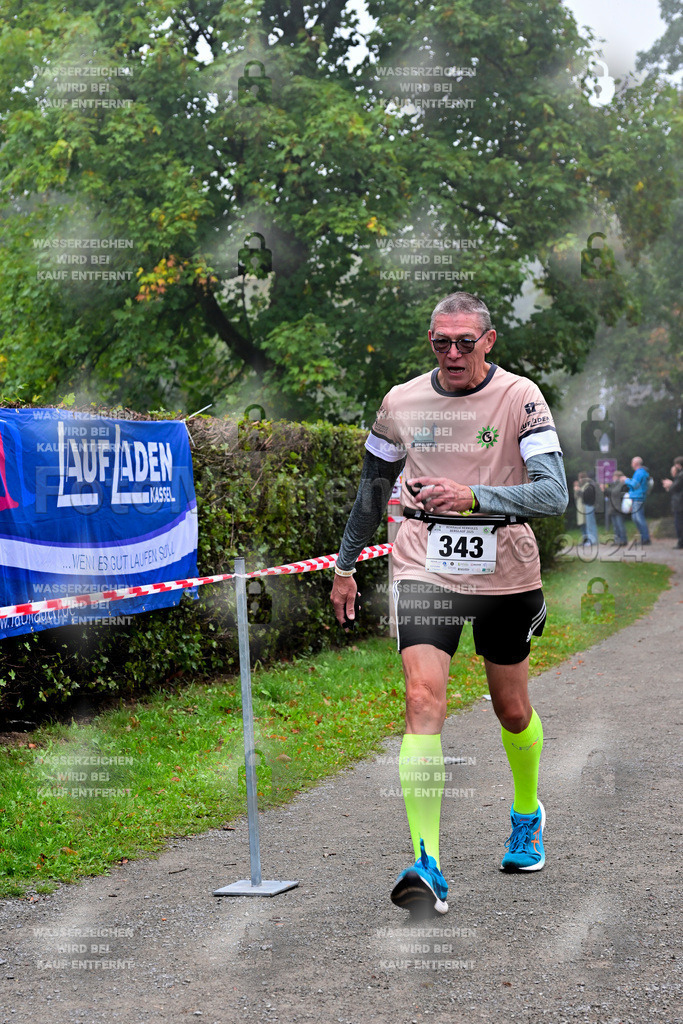 Z8N_1141 | la-psv - Realisiert mit Pictrs.com