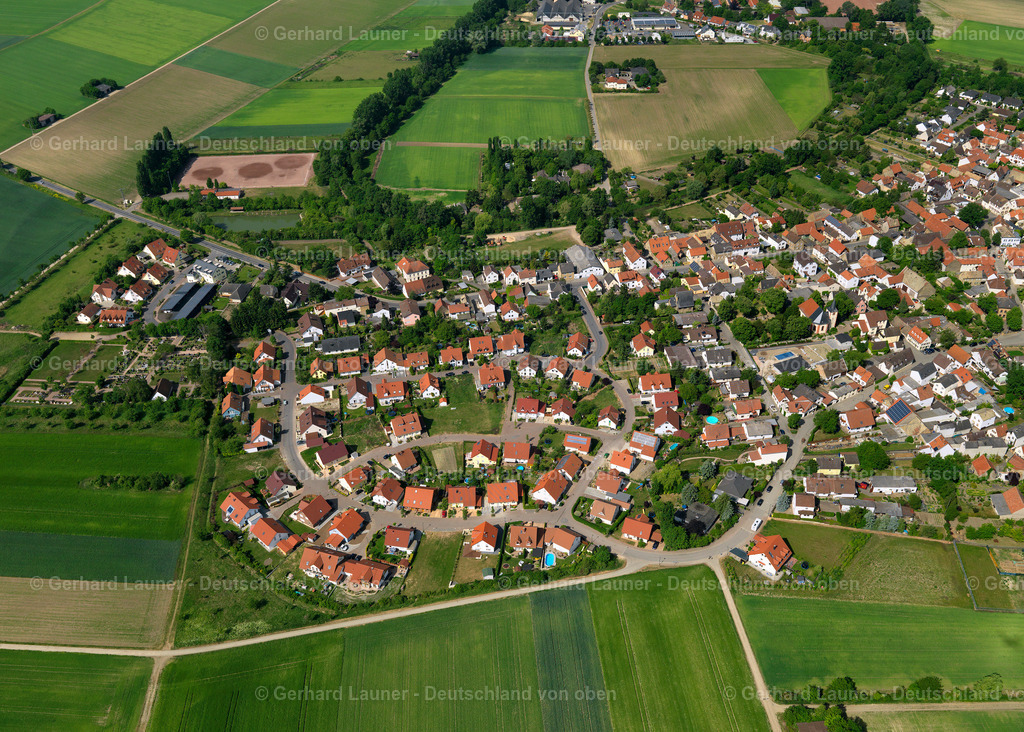 3134016-Selzen | Selzen