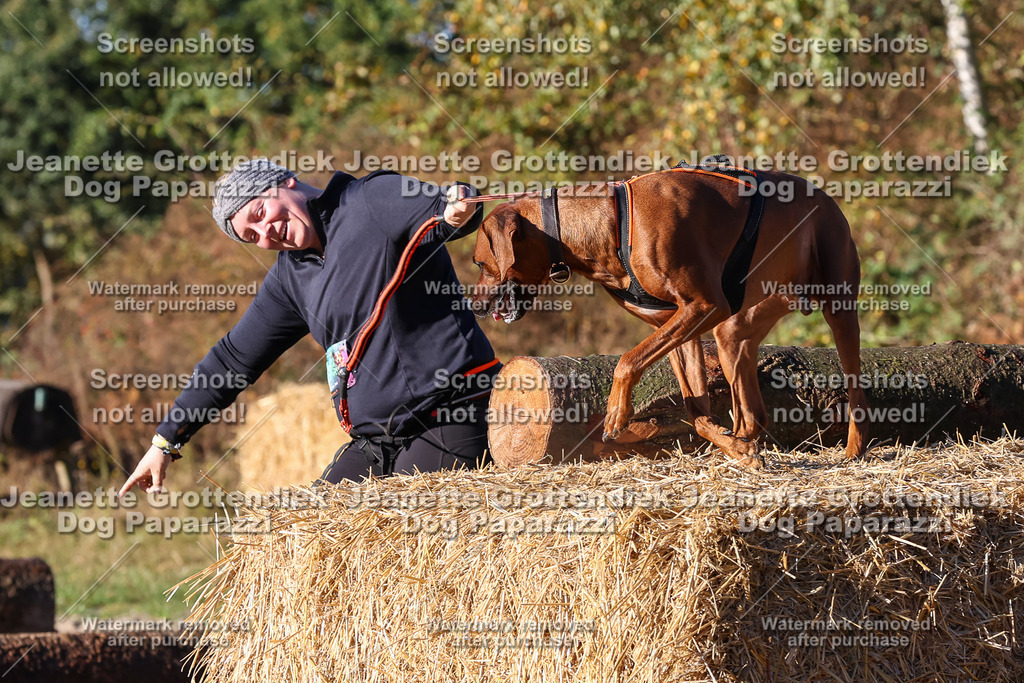 Dog Paparazzi - Strongdog 10-25-1321 | Dog Paparazzi Jeanette Grottendiek Fotografie & Videografie - Realisiert mit Pictrs.com