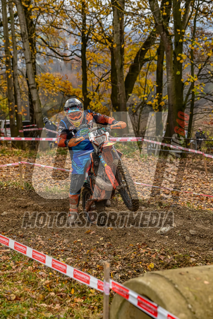 NZ8_6376 | grenznic640