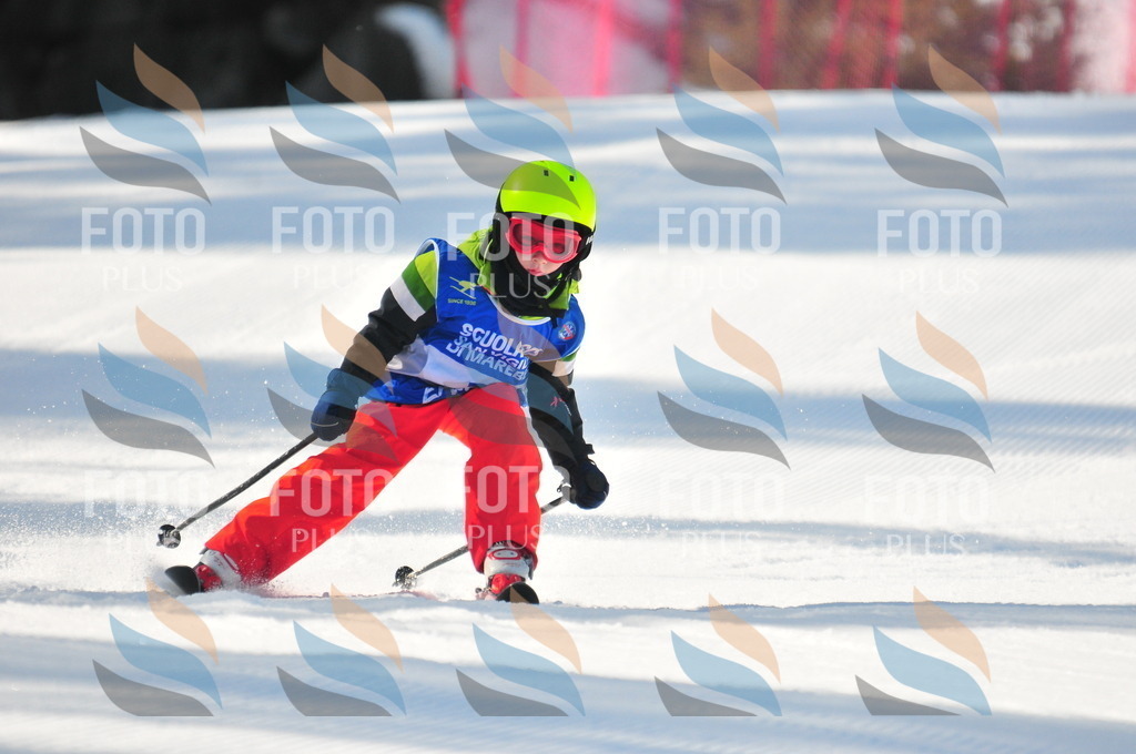 B9016 | holidayphoto