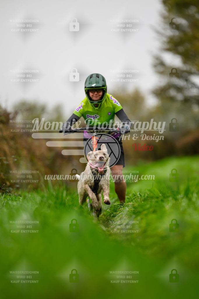 MompixPhotography_20TSB_E8_DS1-61 | PayLife