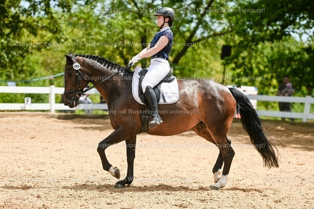 20230715_05_Dressurprüfung Kl.A++_0372 | equistock