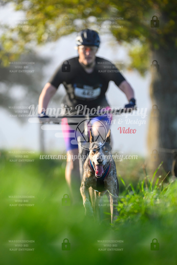 MompixPhotography_20TSB_E3_Bike-174 | PayLife