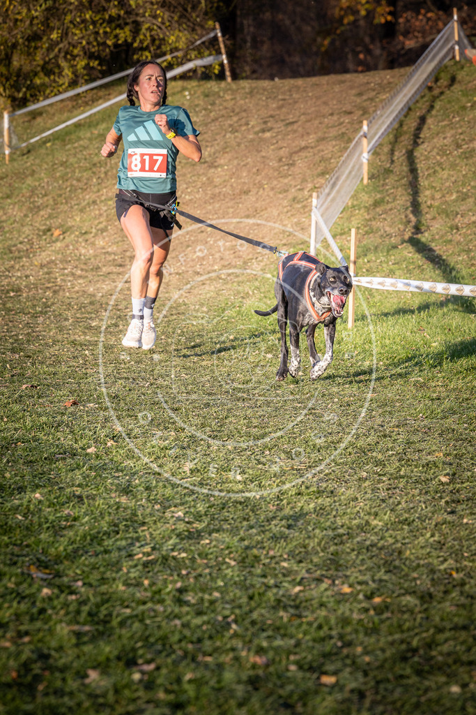 CaniXpix_0L8A0489 | Hundefotografie, Tierfotograf, Pfotenfotografie, Fotoshooting Hund, Hunde Portrait, Hundesport, Hundeportraits, Heideshooting, Hunde, Sportfotograf, Hundefotograf, Turnierhundsport, THS,  - Realisiert mit Pictrs.com