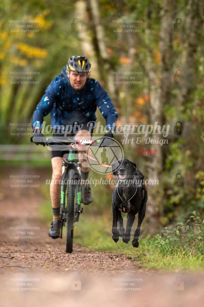 TSB_2023_E4_Bike-14 | PayLife