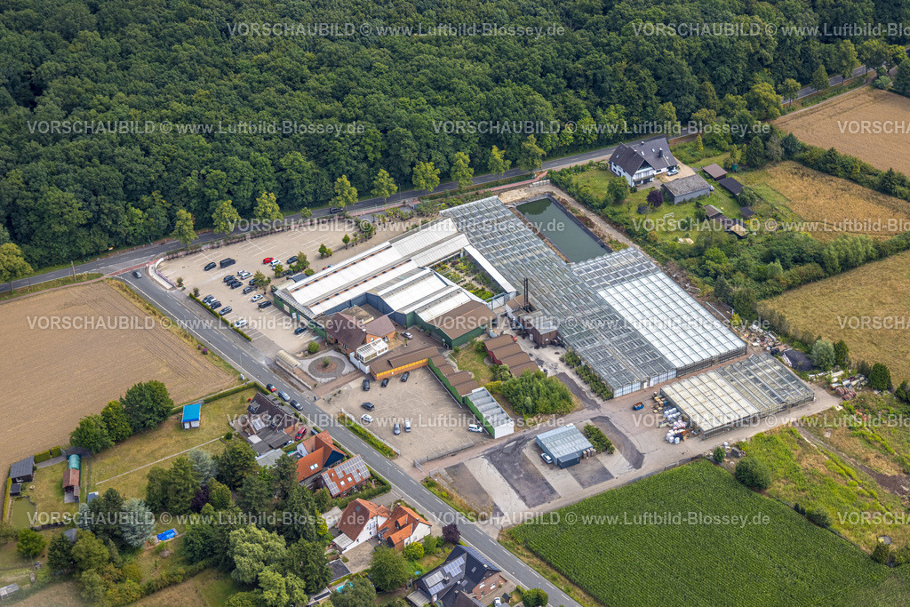 Hamm250701201Rhynern | Luftbild, Ansicht der Sportplätze vom HSC in Westtünnen, Stadtbezirk Rhynern, Hamm, Ruhrgebiet, Nordrhein-Westfalen, Deutschland