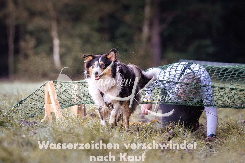 0822_ZZ90175 | kk-dogfotos