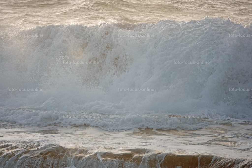 75 | foto-focus-online