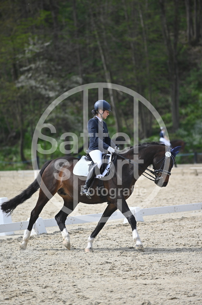 DSC_4348 | sattelsport - Realisiert mit Pictrs.com