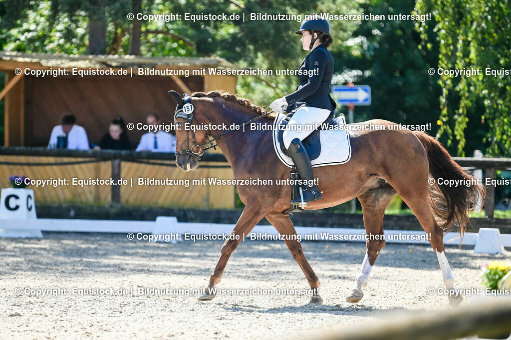 20230908_06_Dressur-L-Trense_0633 | equistock