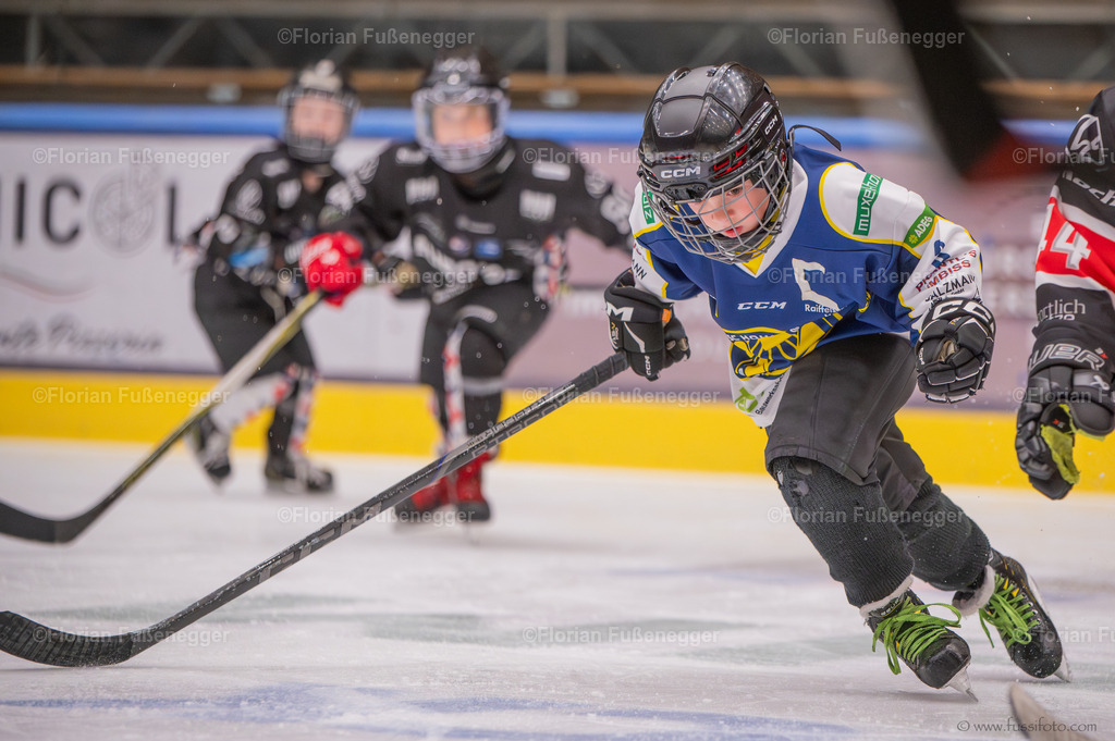 DSC_0454 | "Fussifoto.com – Ihr Ansprechpartner für hochwertige Fotografie! Entdecken Sie kreative Bilder und professionelle Dienstleistungen. Kontaktieren Sie uns für Ihre Projekte!"