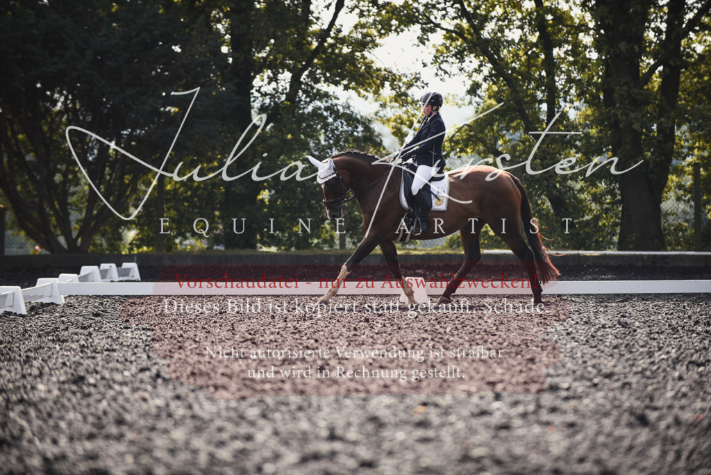 DSC_3555 | Pferde- und Turnierfotografie in Westsachsen. Pferdeportraits, Auftragszeichnungen und intuitive Kunst.