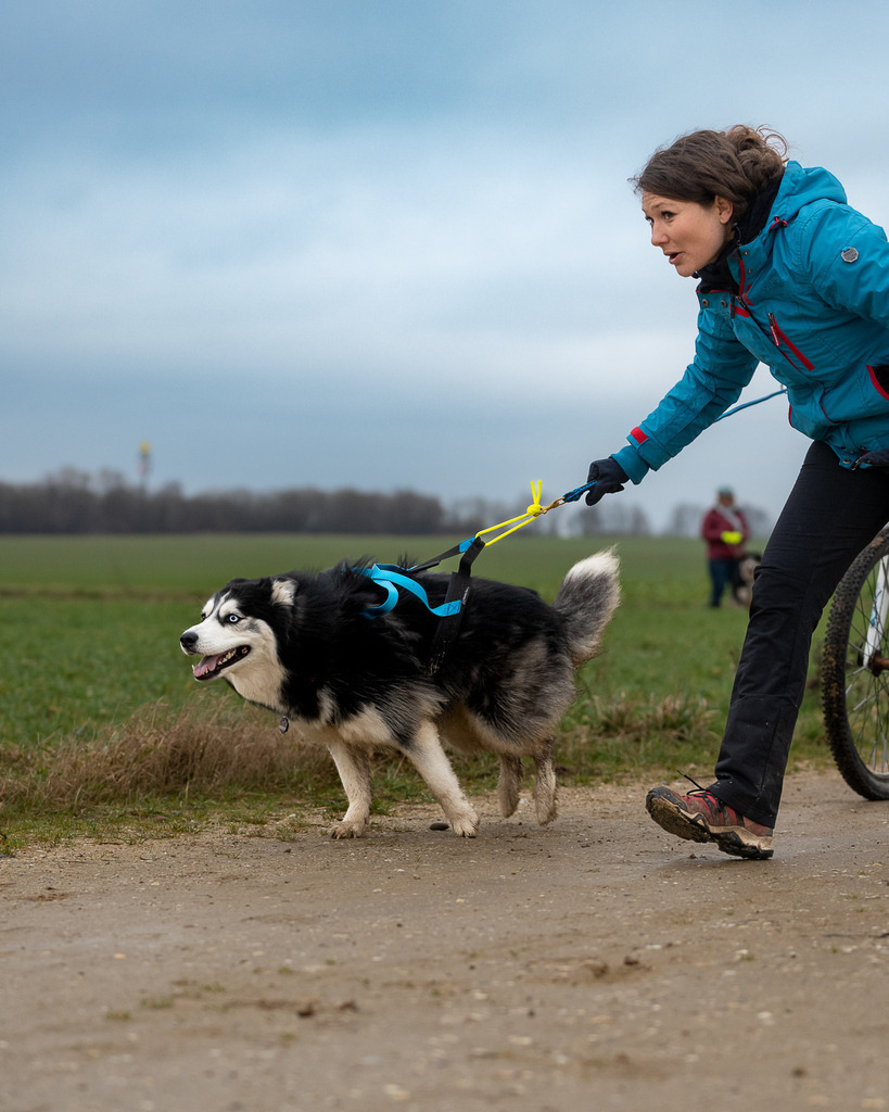allesWIRTHgut Tierfotografie - A7403938 | Professionelle Tierfotografie in Mönchengladbach von Daniel Wirth (allesWIRTHgut). Liebevolle & natürliche Bilder von Hunden & Katzen für unvergessliche Erinnerungen.