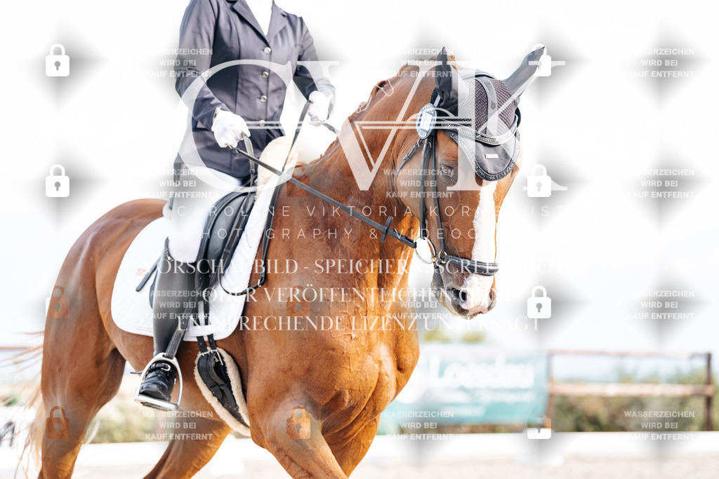 CK901356 | Turnierfotografie Pferdefotografie Trier Rheinland-Pfalz Pferdesport Reitsport Tierfotografie Sportfotografie Pferdevideo Pferdevideografie Equestrianvideography equestrianphotography  - Realisiert mit Pictrs.com