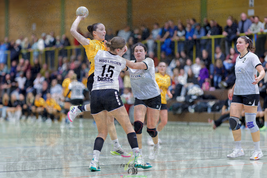 Frauen Oberliga Mitte (HHV); HSG Eibelshausen/Ewersbach - HSG Linden | Frauen Oberliga Mitte (HHV); HSG Eibelshausen/Ewersbach - HSG Linden am 15.11.2025 in Eibelshausen (Holderberghalle)Photo © 2025 - Jörg Heinrich - Realisiert mit Pictrs.com