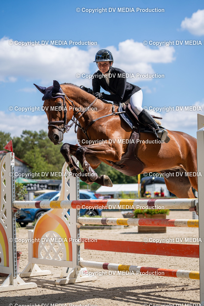 Hessische Tag 1-563 | dv-media-shop - Realisiert mit Pictrs.com