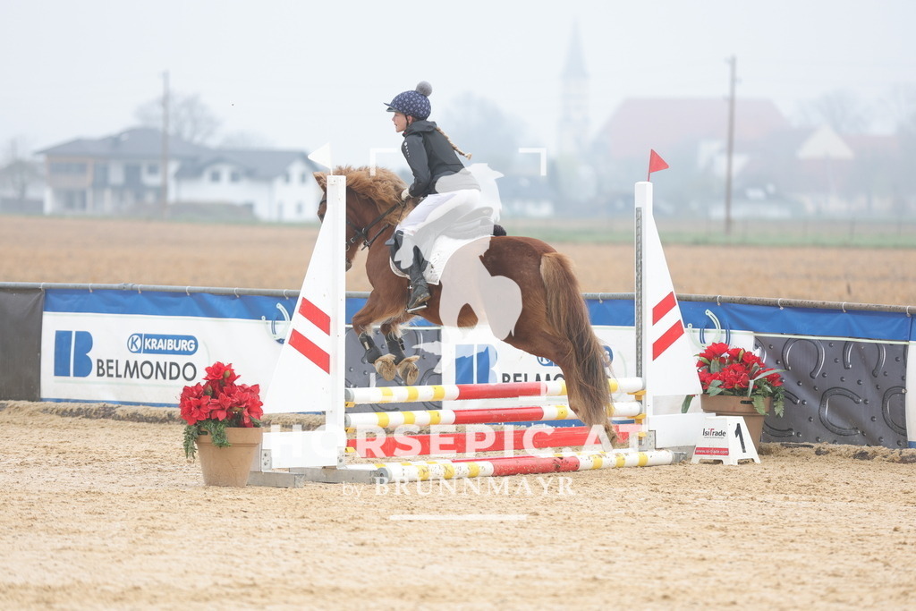 0P6A8632 | Willkommen bei Brunnmayr - Design & Fotografie – Ihrem Spezialisten für Reitturniere und Pferdeveranstaltungen in Oberösterreich, Salzburg und Bayern! Seit über 17 Jahren sind wir leidenschaftlich dabei.