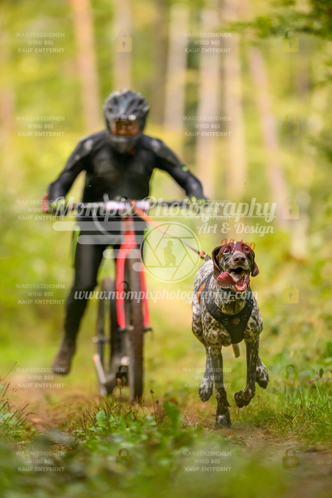 MompixPhotography_Yens2025_B2-10 | PayLife