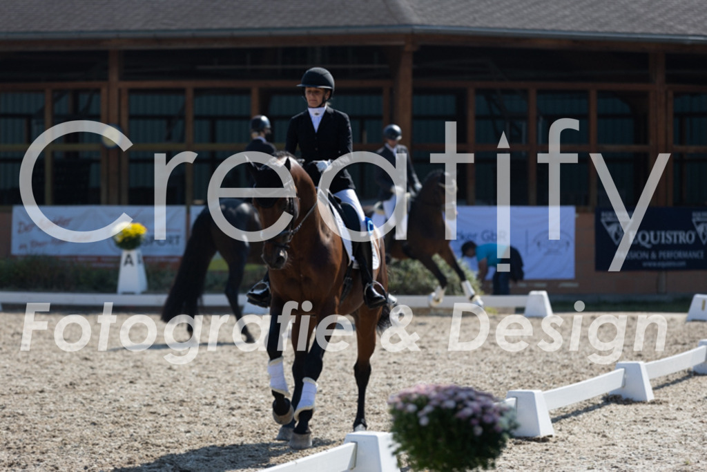 IMG_5083 | Creatify Fotografie