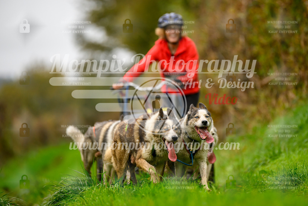 MompixPhotography_20TSB_E8_Kart-28 | PayLife