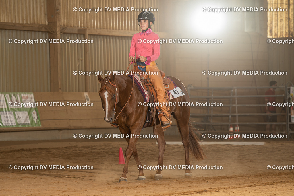 NID03093 | dv-media-shop - Realisiert mit Pictrs.com