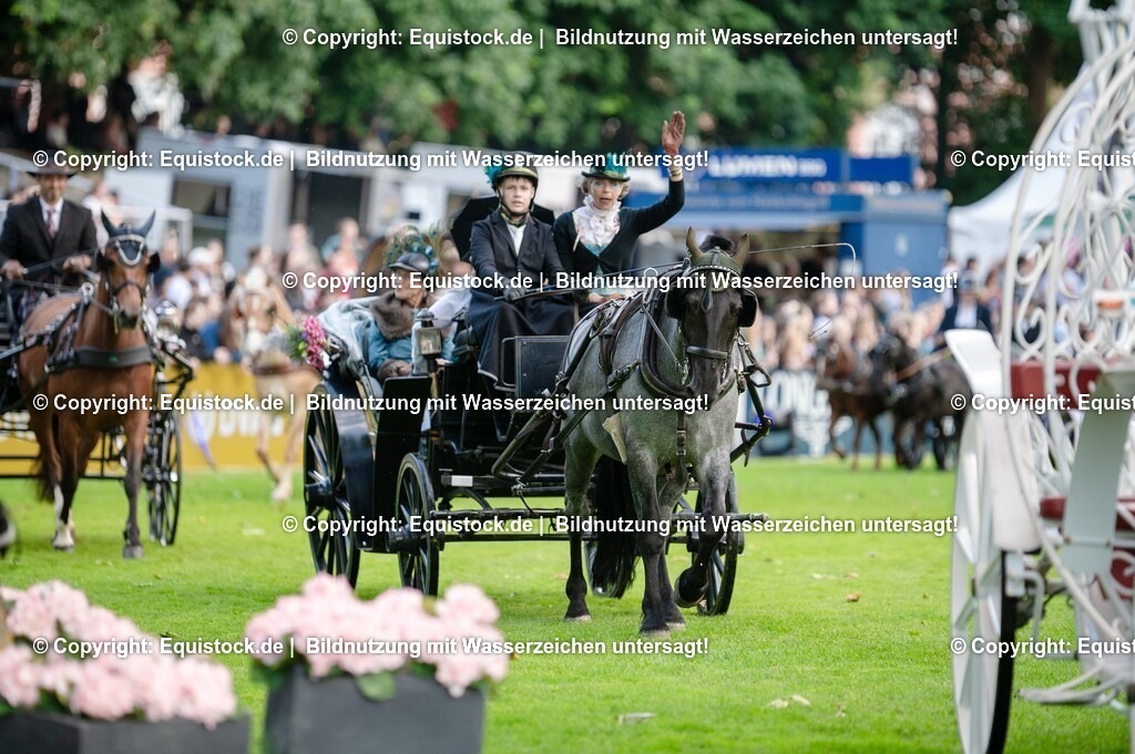 20250606_Lange-Pferdenacht_0082 | Foto: Thomas Hartig
