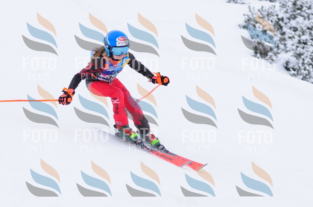 C3704 | holidayphoto