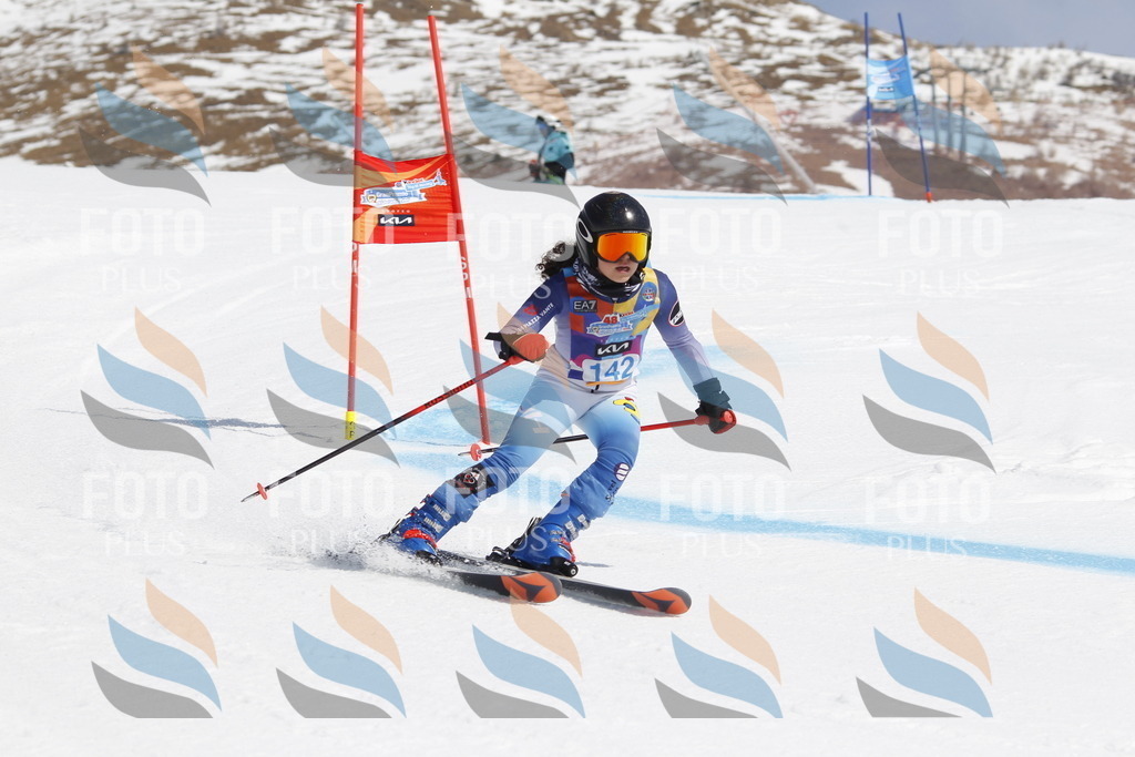 _U3G1076 | holidayphoto