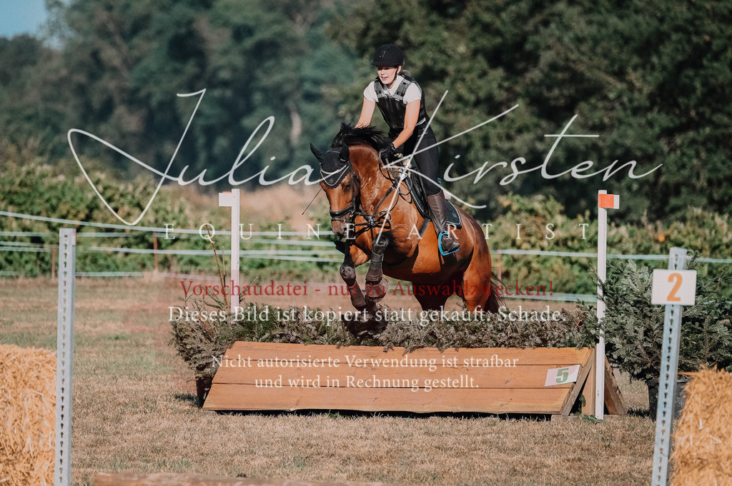 DSC_9012 | Pferde- und Turnierfotografie in Westsachsen. Pferdeportraits, Auftragszeichnungen und intuitive Kunst.