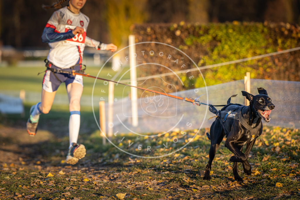 CaniXpix_DV3A5248 | Hundefotografie, Tierfotograf, Pfotenfotografie, Fotoshooting Hund, Hunde Portrait, Hundesport, Hundeportraits, Heideshooting, Hunde, Sportfotograf, Hundefotograf, Turnierhundsport, THS,  - Realisiert mit Pictrs.com