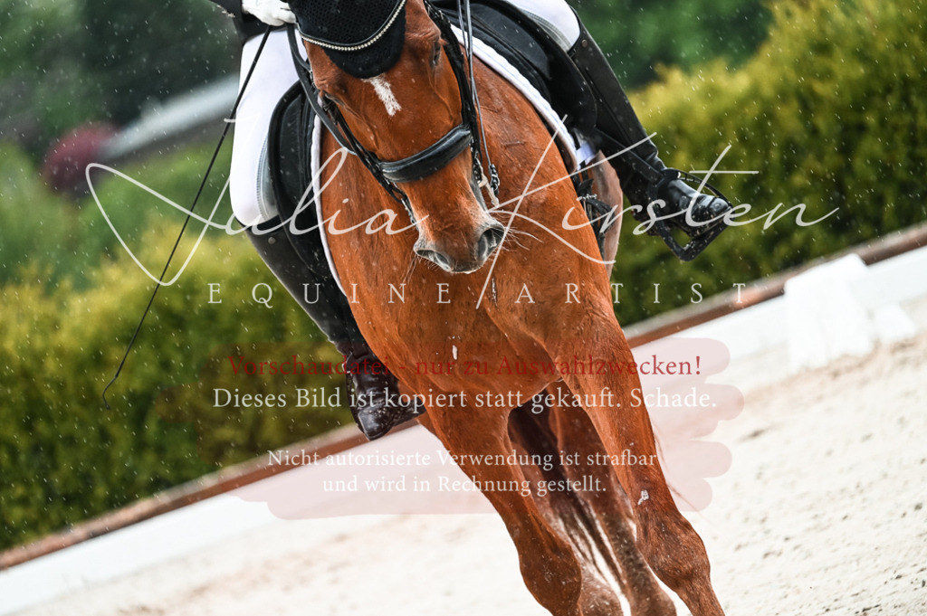 DSC_4449 | Pferde- und Turnierfotografie in Westsachsen. Pferdeportraits, Auftragszeichnungen und intuitive Kunst.