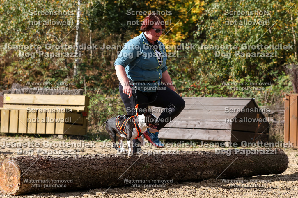 Dog Paparazzi - Strongdog 10-25-4981 | Dog Paparazzi Jeanette Grottendiek Fotografie & Videografie - Realisiert mit Pictrs.com