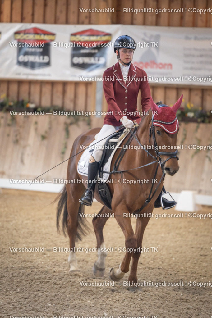 _D5A2076 | Emotionale Pferde- & People-Fotografie rund um Heidelberg, Leimen & Umgebung. Natürliche Fotos von Pferd, Mensch & Familie. Jetzt Termin sichern!