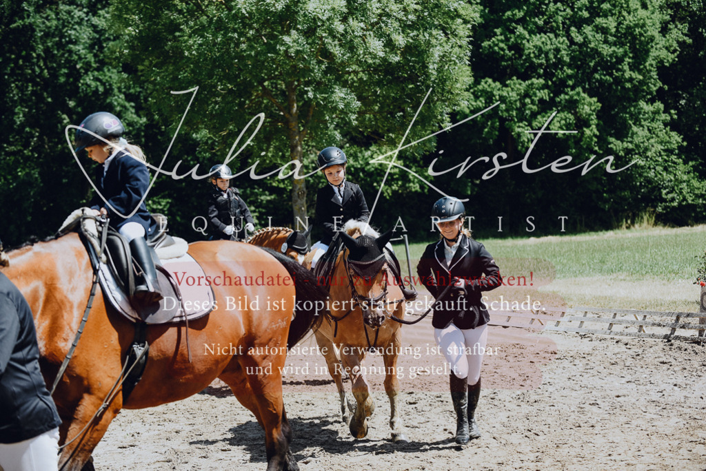 DSC_2605 | Pferde- und Turnierfotografie in Westsachsen. Pferdeportraits, Auftragszeichnungen und intuitive Kunst.