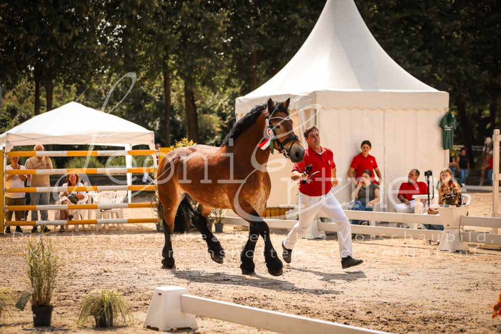 1.Sa00074 | Leoni Ertmer Photography - Realisiert mit Pictrs.com