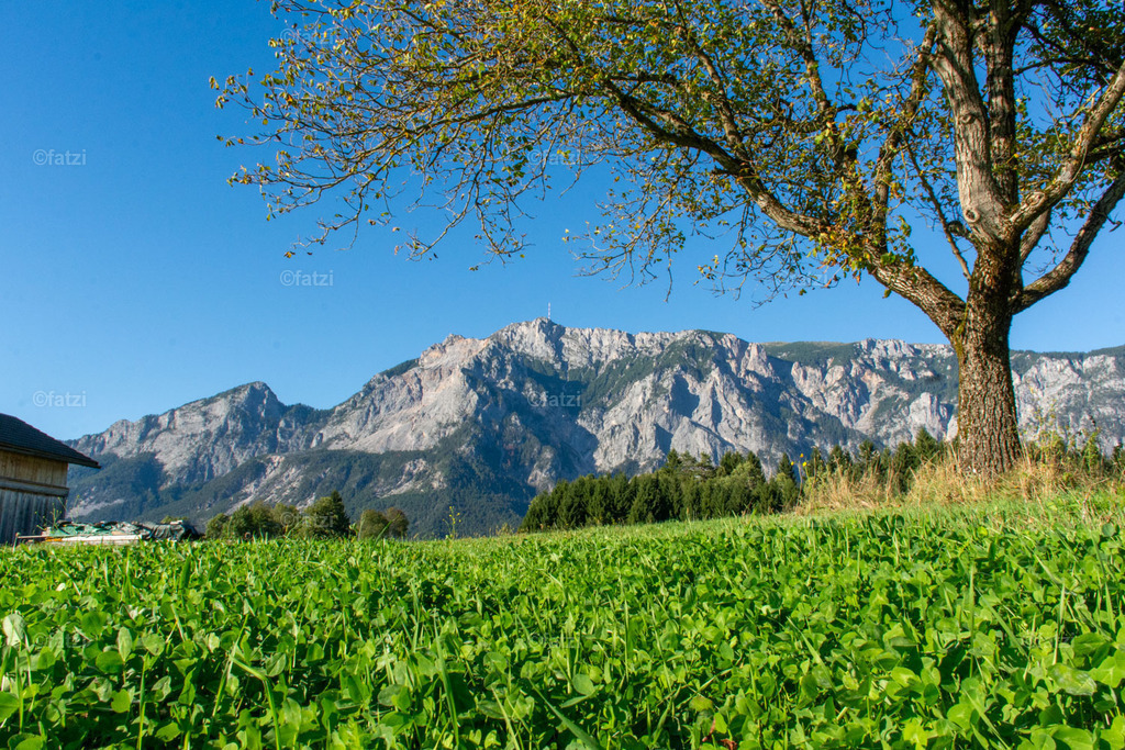 Dobr Panorama 2025 (Hohenthurn)_171439__fatzi | Fatzi Bilder-Archiv! 
Die Bilder sind für private Nutzung lizenzfrei. Die kommerzielle Nutzung ist möglich und erwünscht, jedoch bitte ich um vorherige Kontaktaufnahme per E-Mail (info@fatzi.at) oder unter +43 650 7828269 - Realisiert mit Pictrs.com