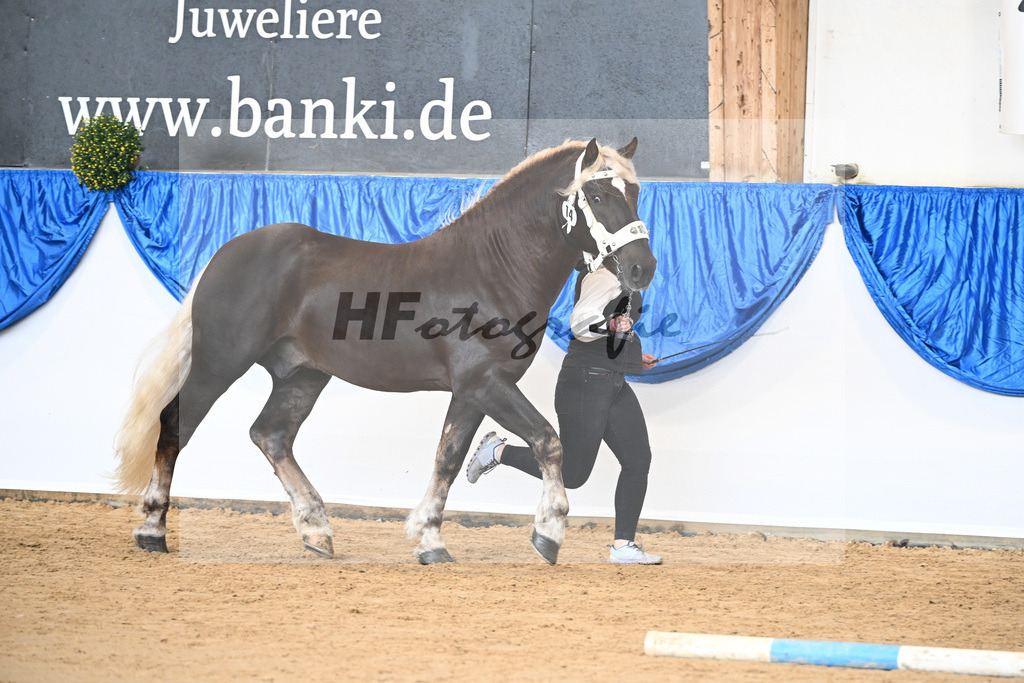 Kat-Nr. 14 nn v. Venturin_Bauer_39250213 | hf-fotografie - Realizzato con Pictrs.com