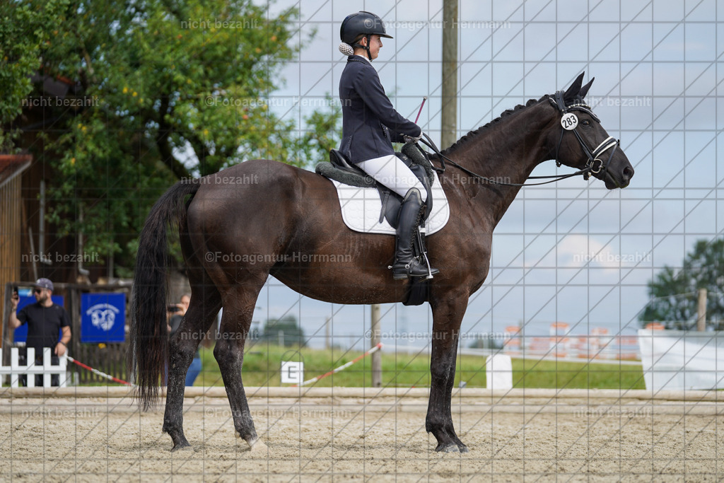 20230826-FAH05241 | Forstinning, 2023, Dressurturnier, Turniersportbilder, Turnierfotografen Bayern, Fotoagentur Herrmann, Reitsportfotografie, Turnierbilder