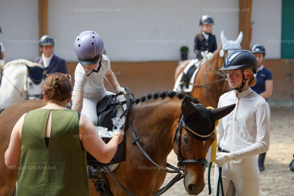 JHE32447 | JoYa Fotografie - Realisiert mit Pictrs.com