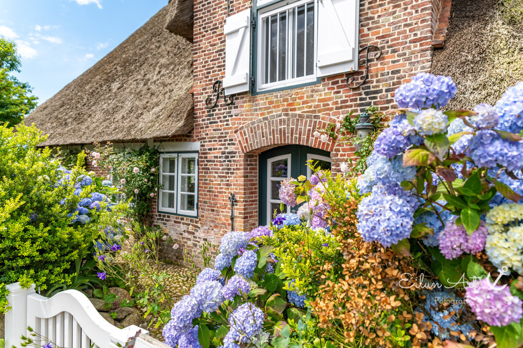 20240616-EAF_2168 | Eilun-Art-Fotografie Levke Martens, ihre Fotografin für Immobilien- und Landschaftsfotografie auf Föhr, Föhrer Motive als Poster, Leinwand, hinter Acrylglas oder stelle dir deinen eigenen Monatskalender zusammen, mit nur einem Klick