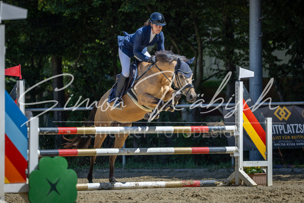 20260704-_3LI8086 | Tierfotografie Pferde, Hunde, Katzen, Haustiere.
Turnierfotografie Reitturniere, Reiten, Springreiten, Dressur in Hanau, dem Main-Kinzig-Kreis und dem Rhein-Main- Gebiet um Frankfurt