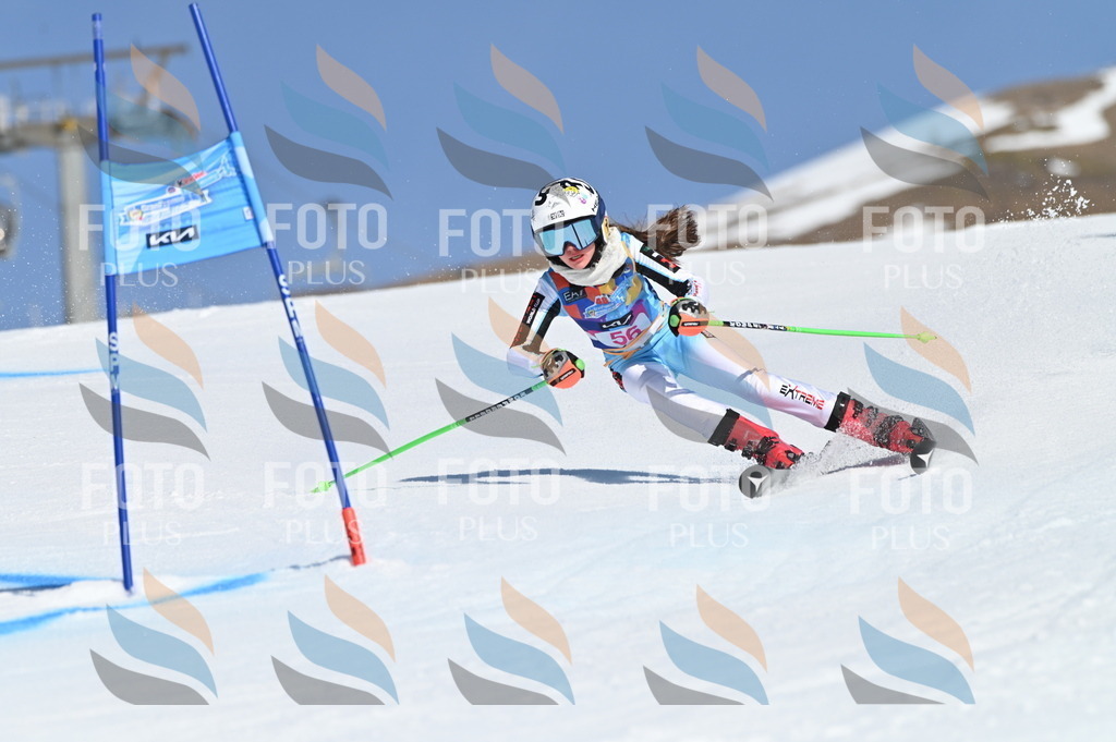 BGV_8645 | holidayphoto