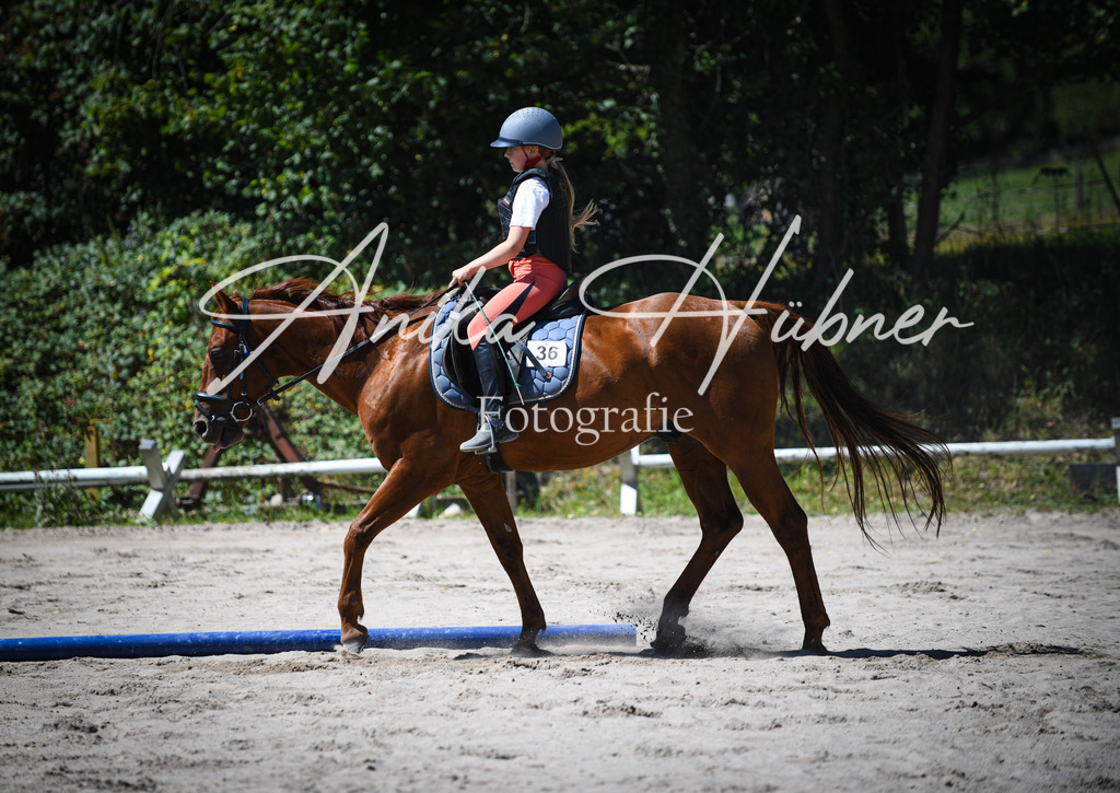 DSC_1025 | anikahuebner - Realisiert mit Pictrs.com