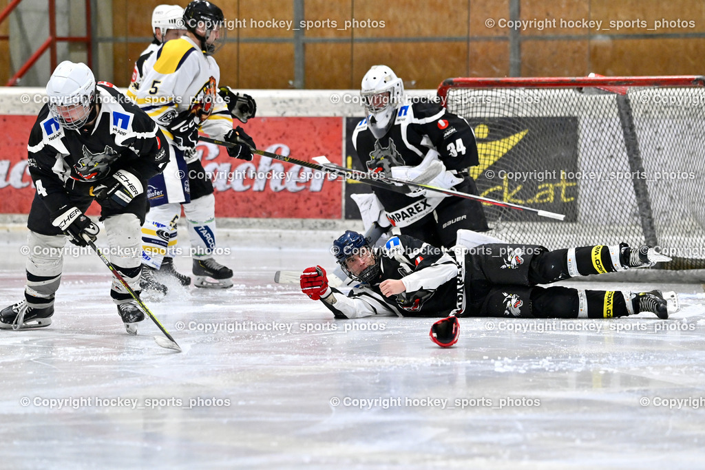 EC Tigers Paternion vs. Tarco Wölfe II | #34 Schleinzer Manuel Tarco Wölfe II, Fliegender Stock, #4 Halbrainer Paul Tarco Wölfe II, #5 Rauter Marcel EC Tigers Paternion, #19 Werner Maximilian Tarco Wölfe II, EC Tigers Paternion vs. Tarco Wölfe II, EC Tigers Paternion vs. Tarco Wölfe II am 19.12.2024 in Spittal an der Drau (Eissportzentrum Spittal), Austria, (Photo by Bernd Stefan)